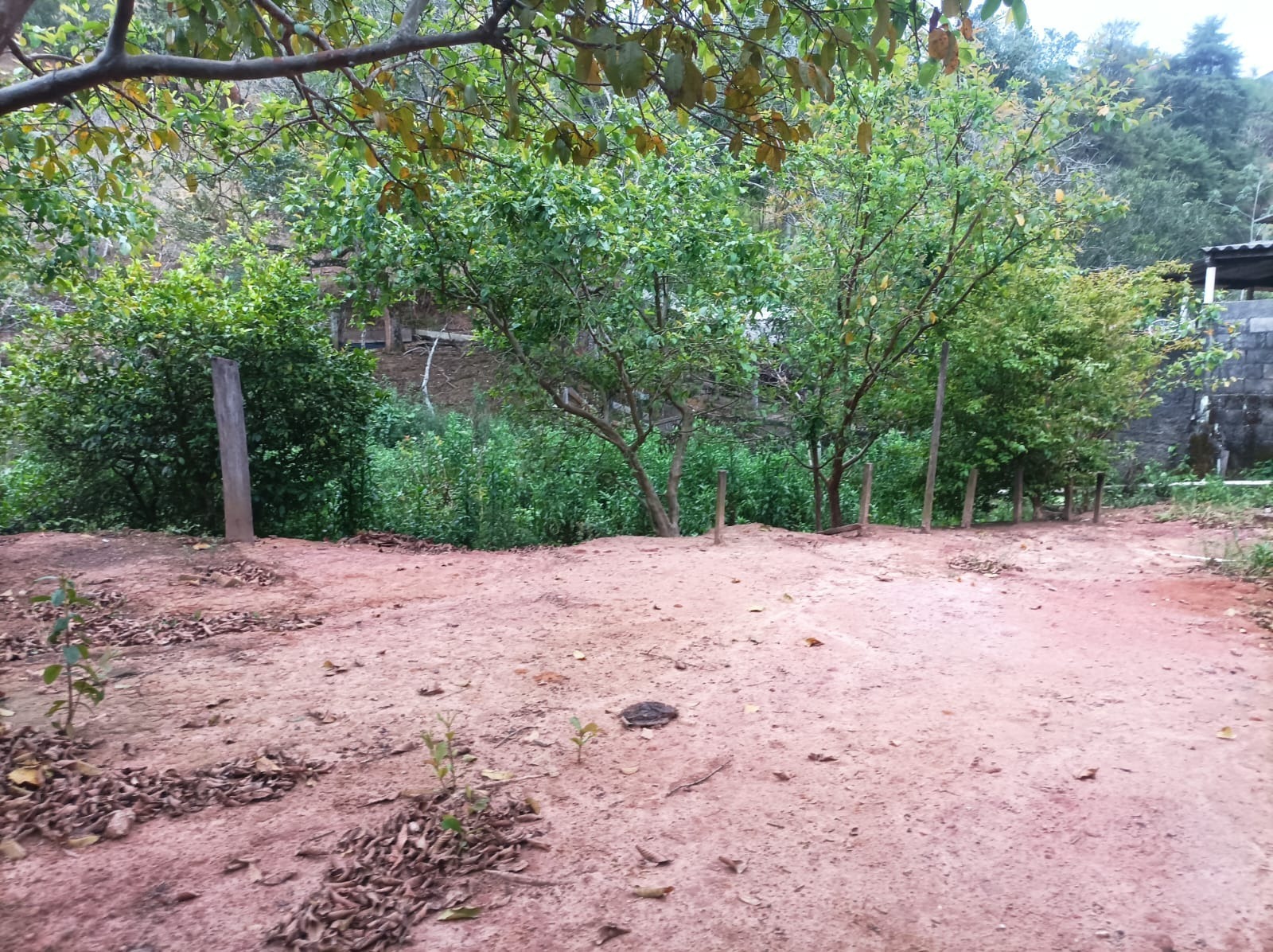 Casa, 3 quartos, 80 m² - Foto 10
