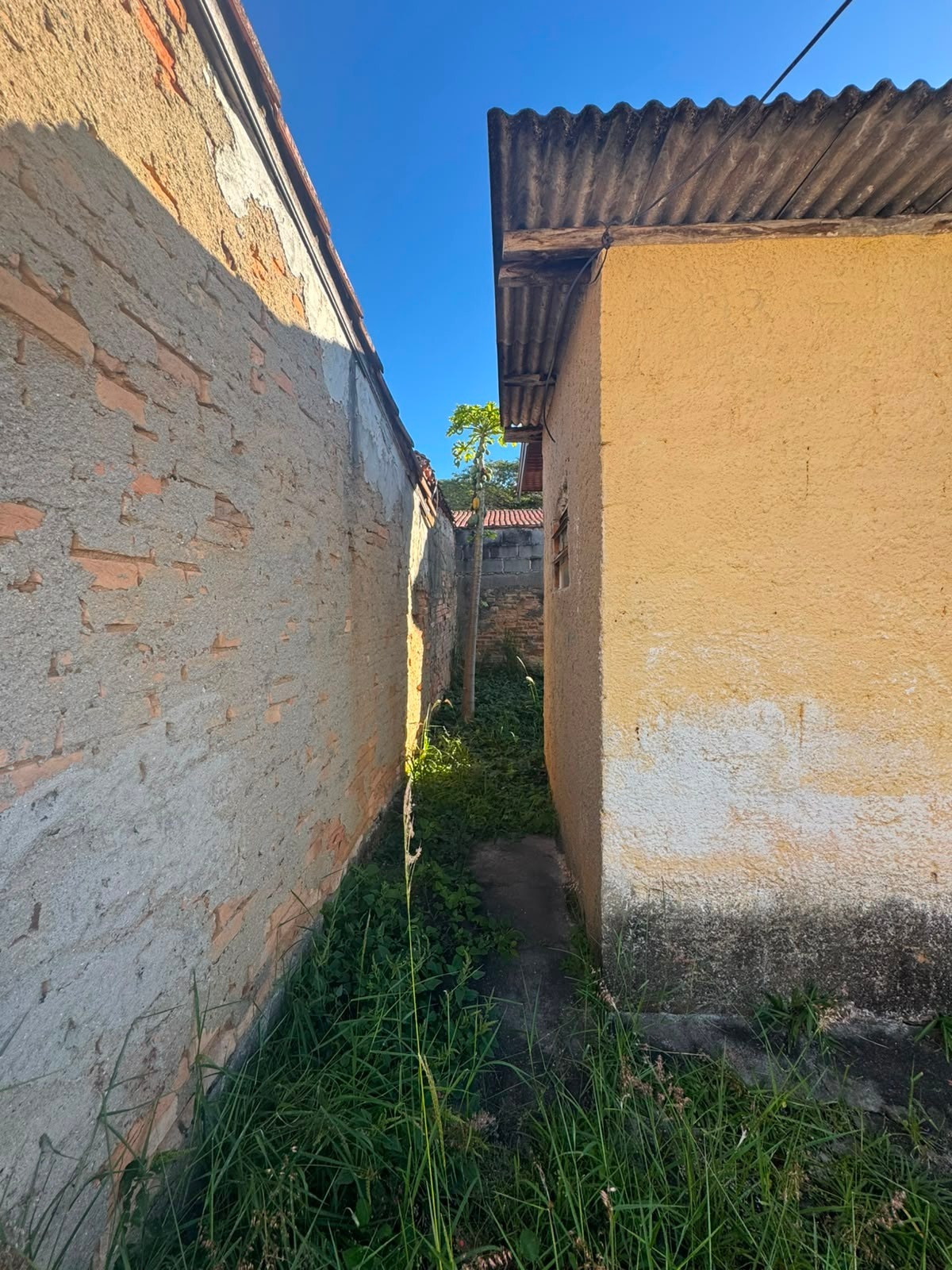 Casa, 5 quartos, 200 m² - Foto 17