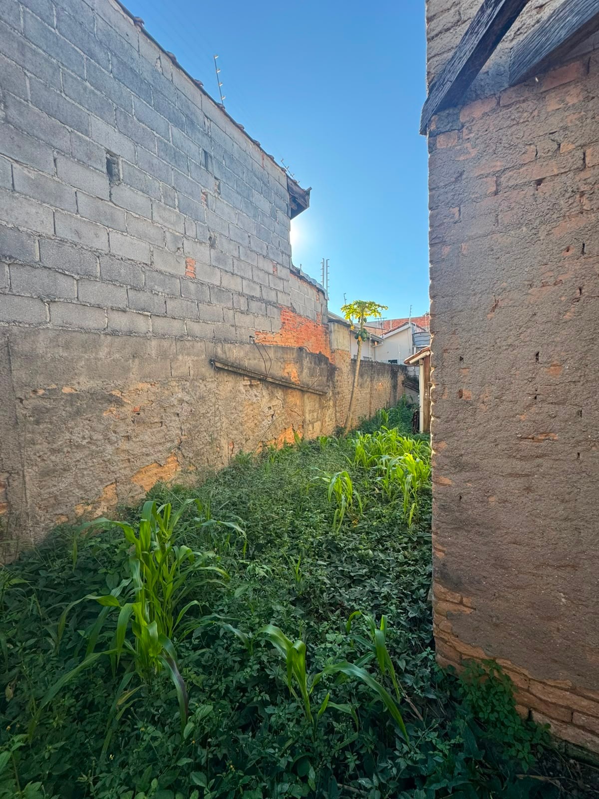 Casa, 5 quartos, 200 m² - Foto 20