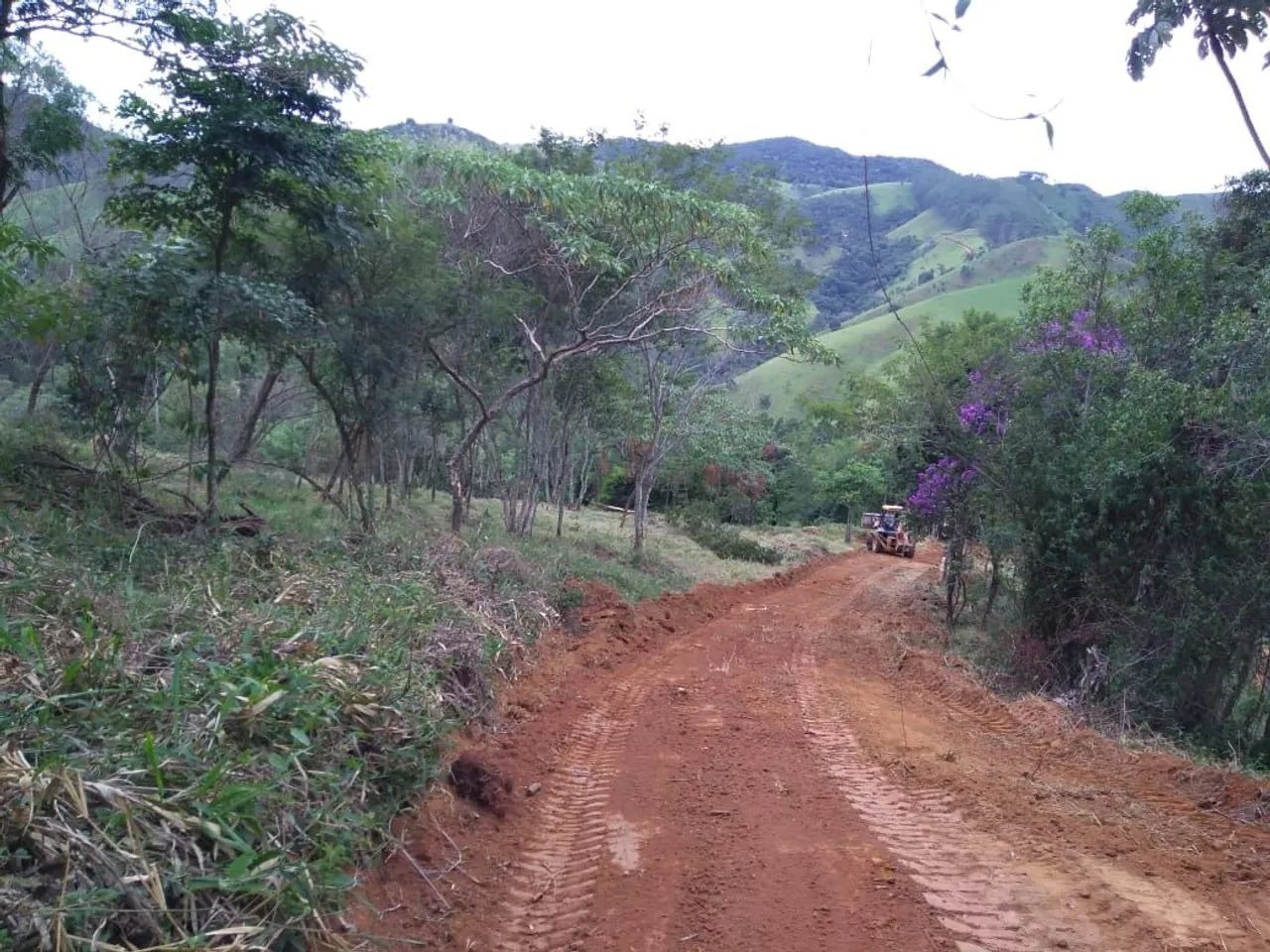 🌿 Área à Venda – Serra de Monteiro Lobato