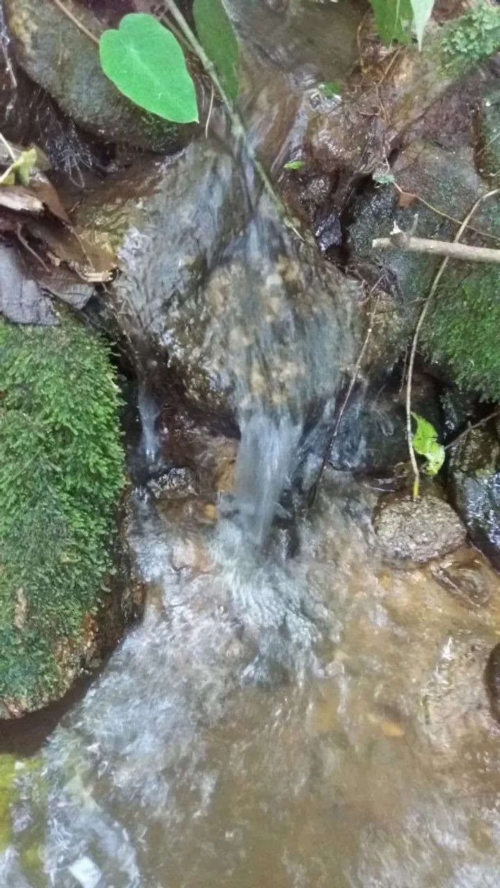 Terreno, 34 hectares - Foto 6