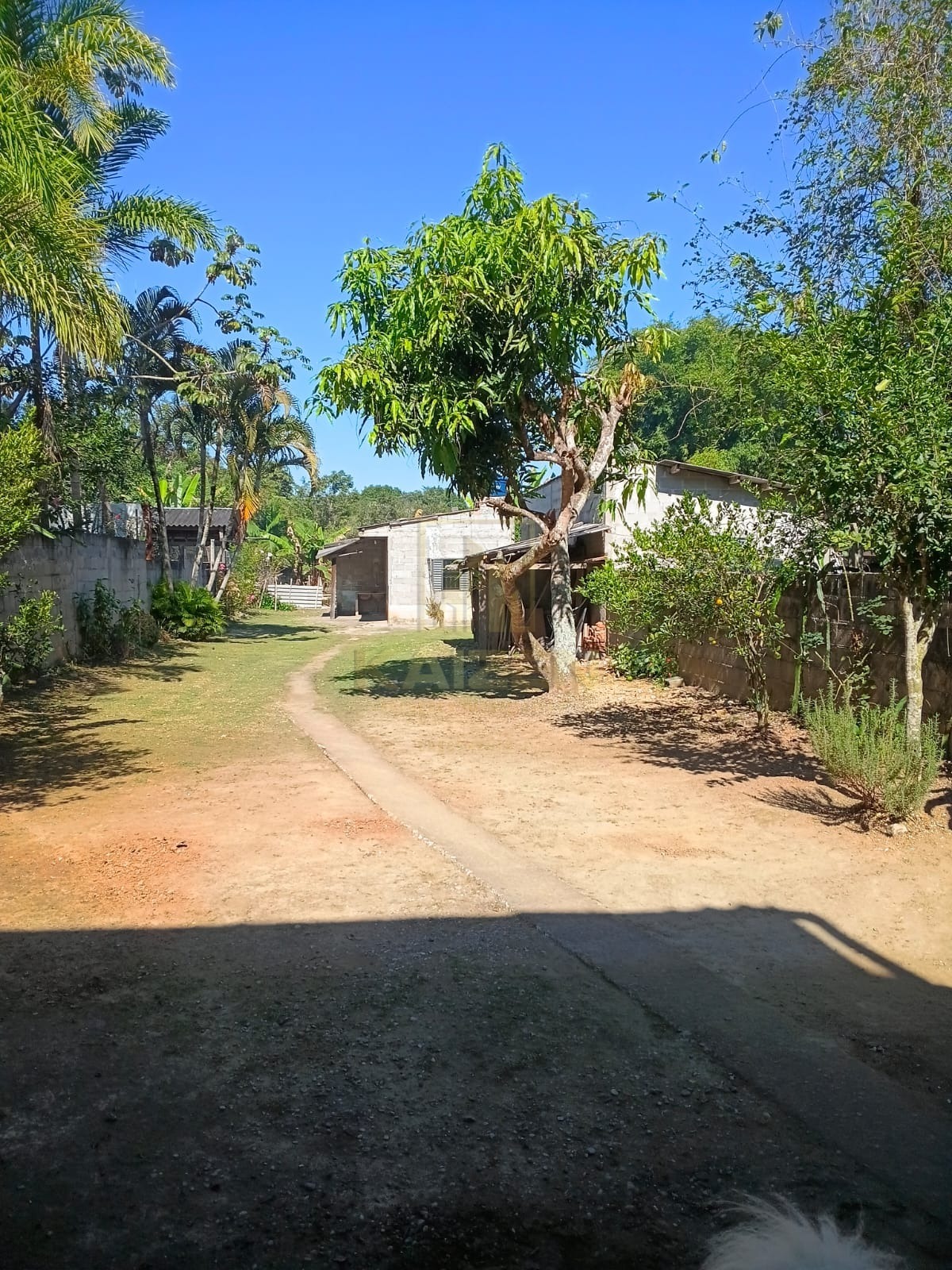 Casa, 5 quartos, 798 m² - Foto 12