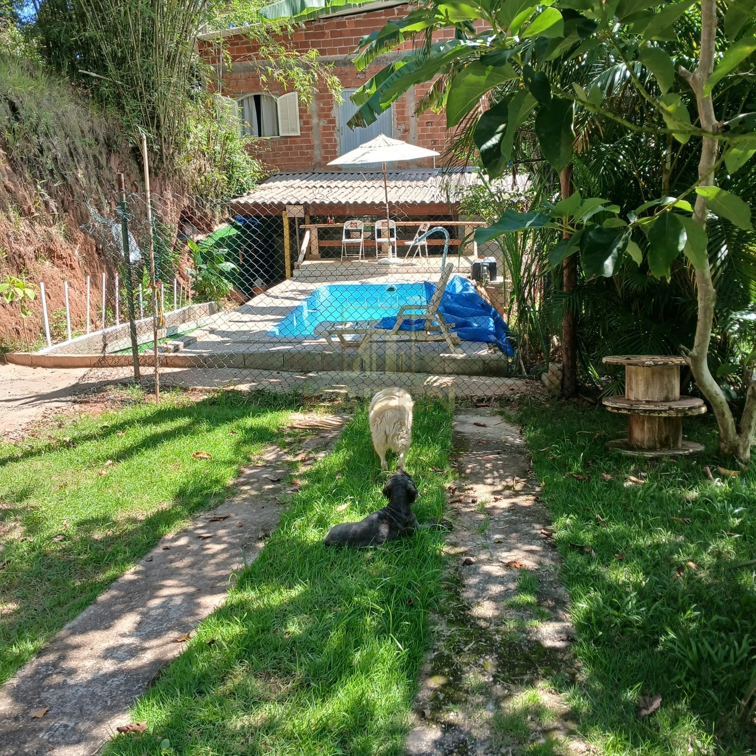 Casa, 2 quartos - Foto 1