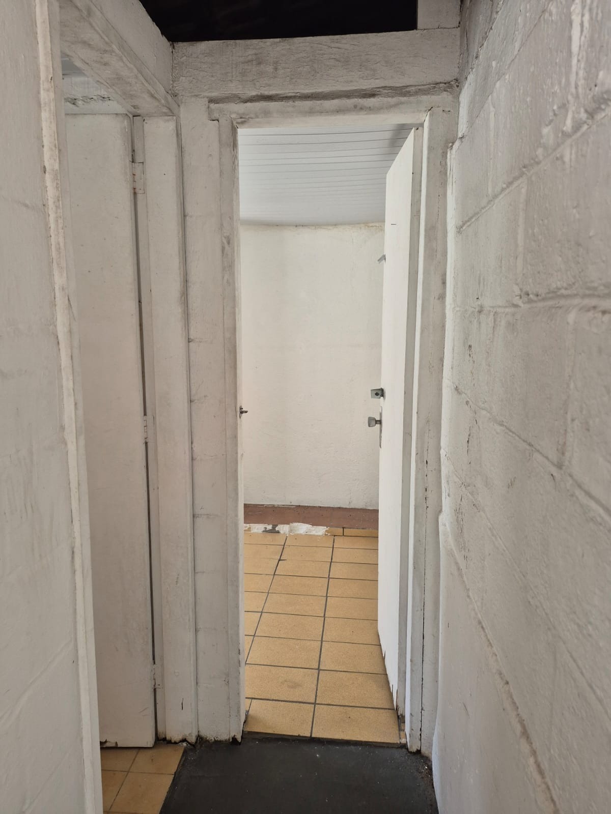 Casa, 3 quartos, 191 m² - Foto 6