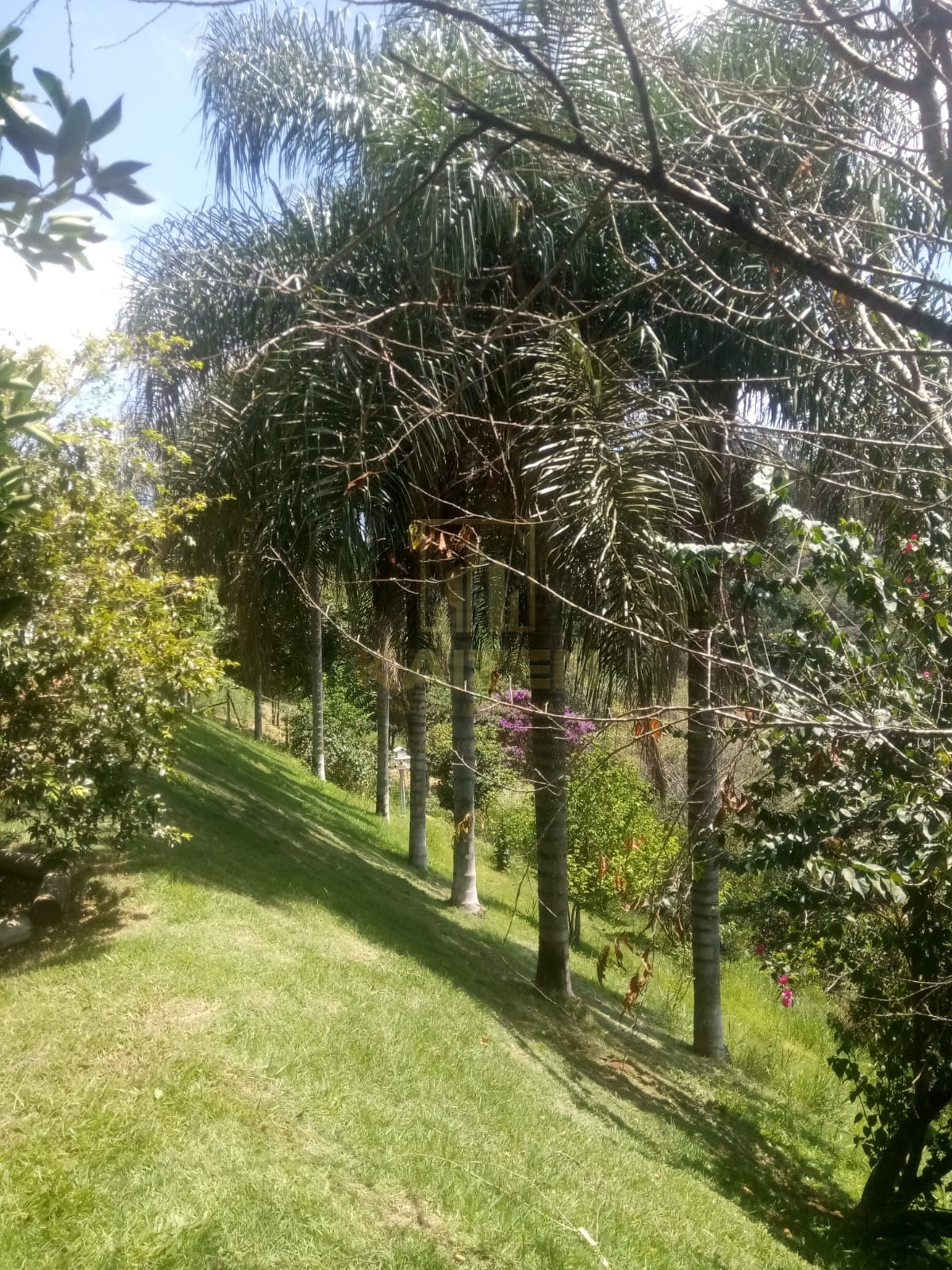 Casa, 3 quartos - Foto 41