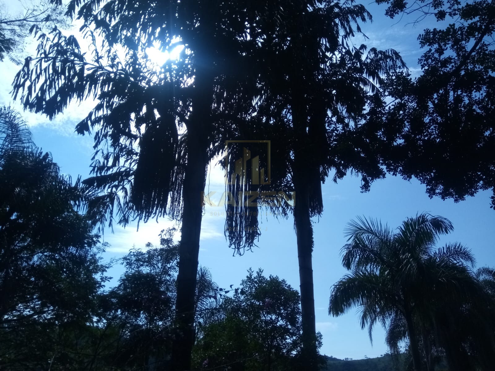 Casa, 3 quartos - Foto 44