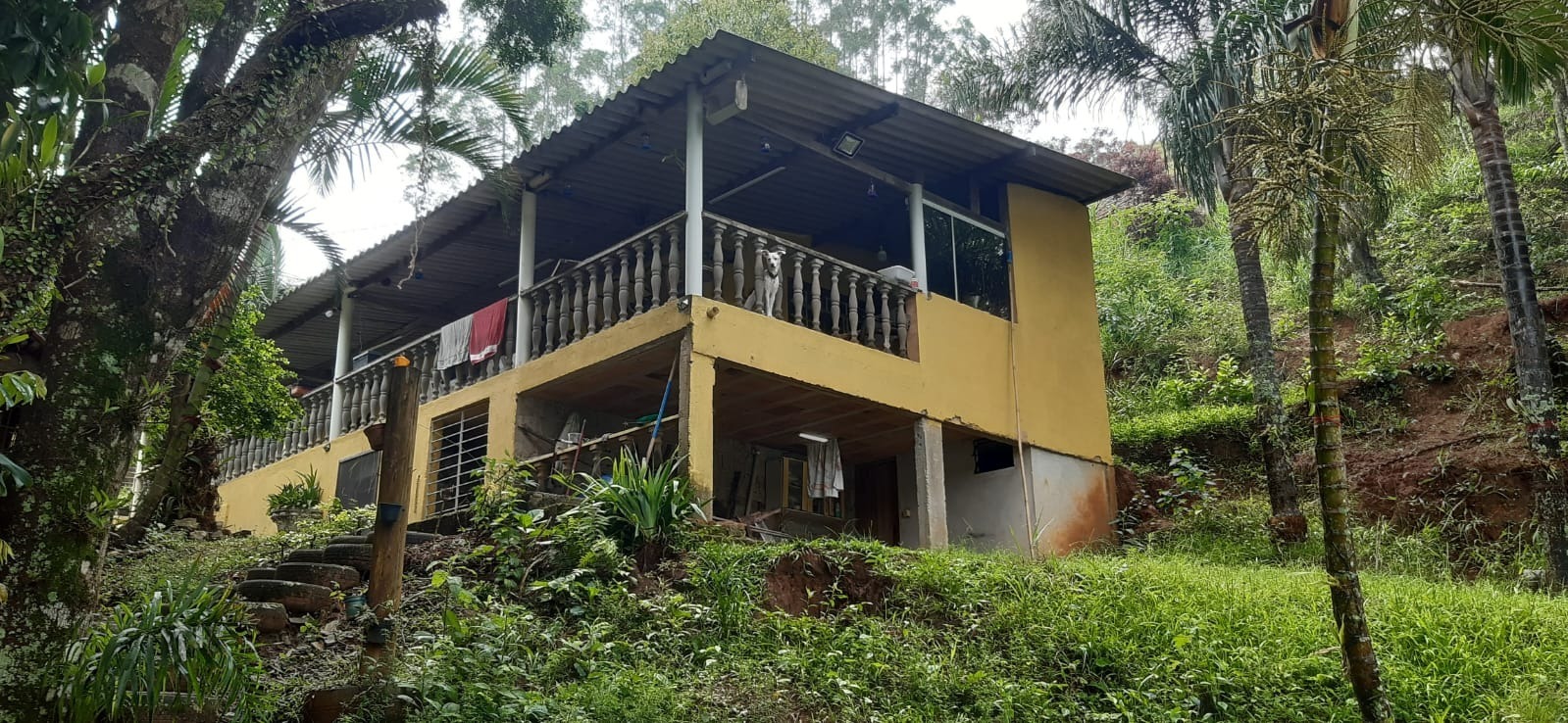 🌊 Chácara Pé na Água à Venda em Santa Branca – Fundos para a Represa