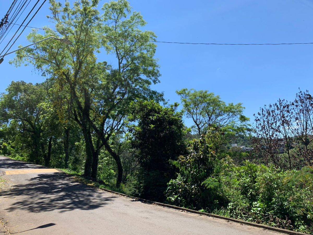 Terreno/Lote à venda  no Centro - Videira, SC. Imóveis