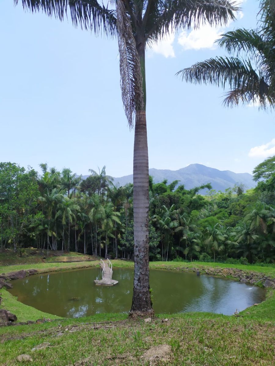 Terreno/Lote com 1 Dormitórios à venda, 125 m² por R$ 2.200.000,00 Terreno/Lote com 1 Dormitórios à venda, 125 m² por R$ 2.200.000,00
