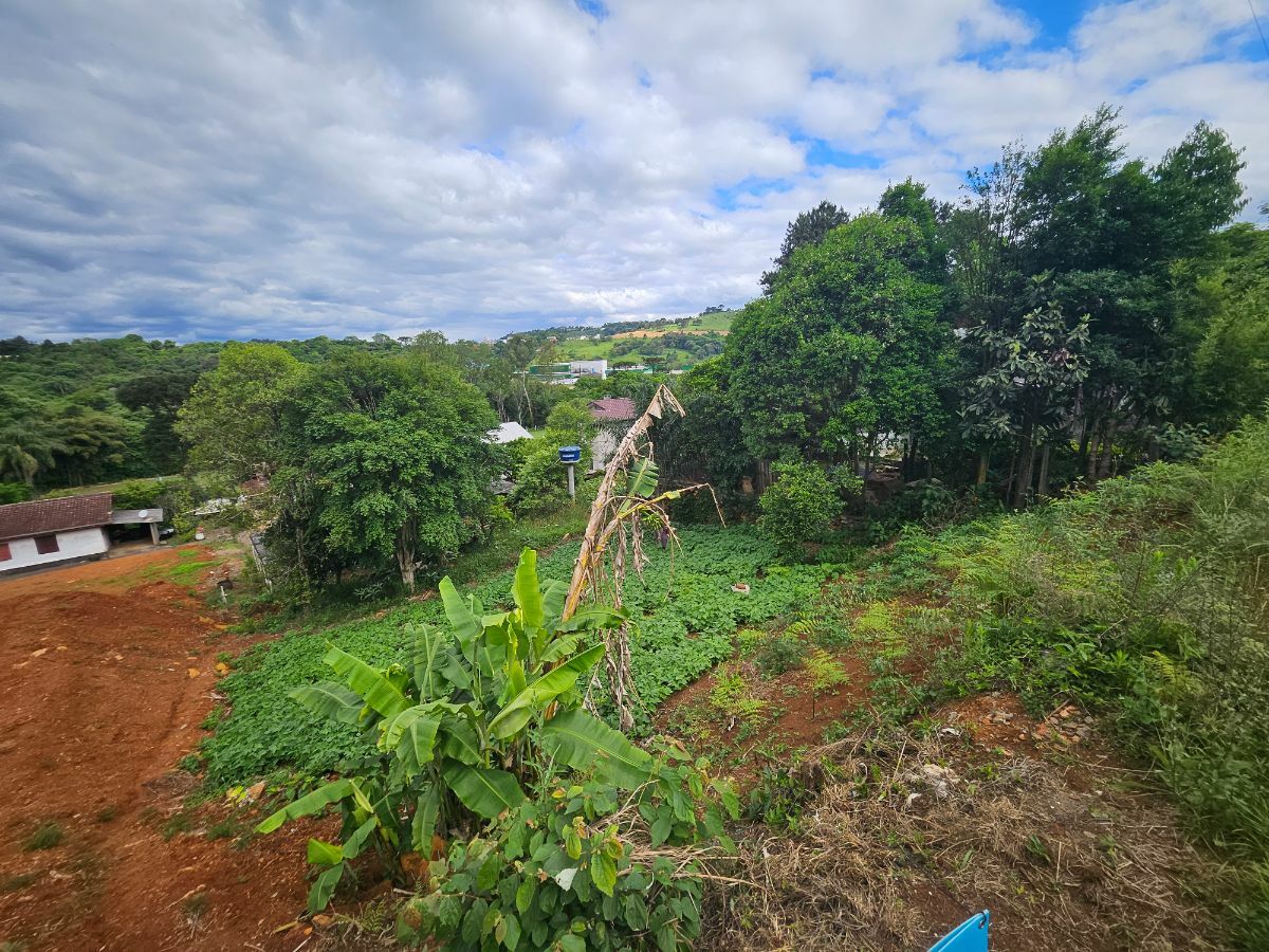 Terreno/Lote à venda  no Cetrevi - Videira, SC. Imóveis